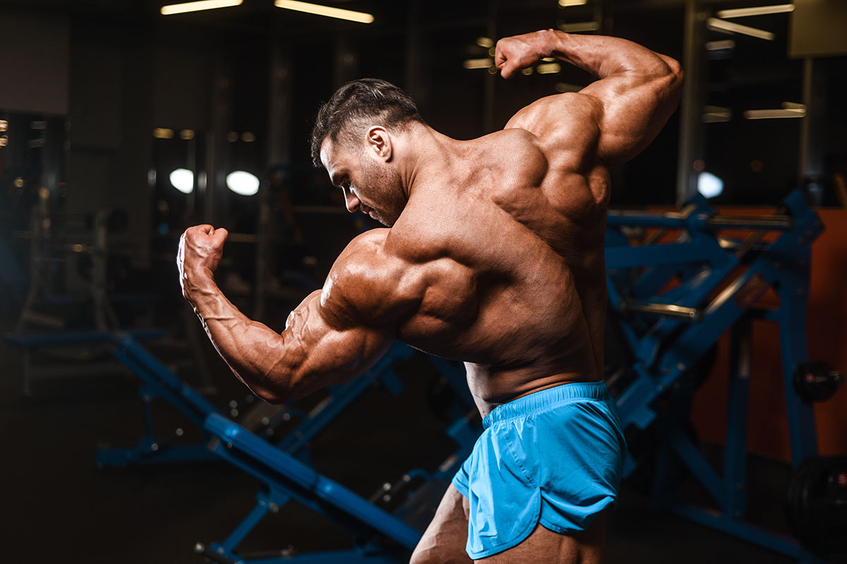 SARMs Dosage and Cycle Guide (Updated 2023)