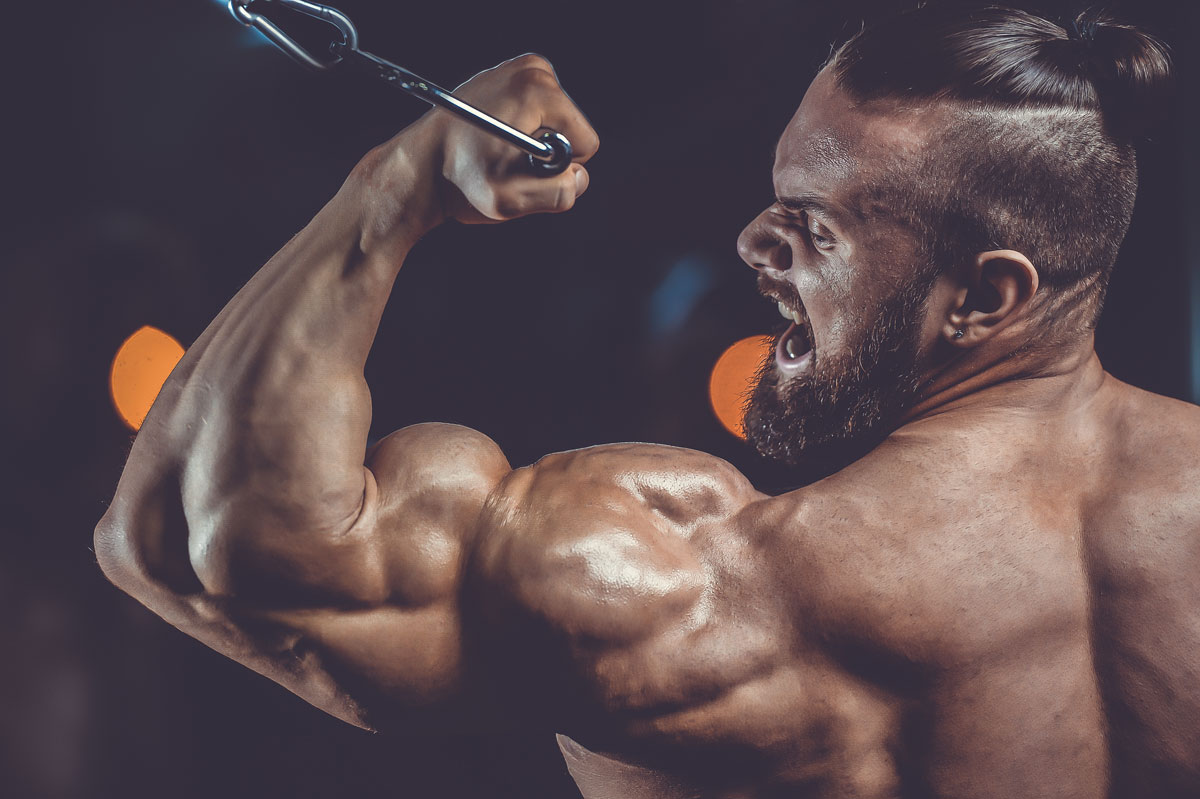 Best Prohormones for Cutting (Updated 2021) | Pumping Iron Store